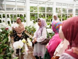 PUI Anggrek Unila Tingkatkan Jenis Tanaman Anggrek