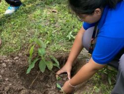 KKN Mahasiswa Unila Laksanakan Program Konservasi “Kecil Menanam, Dewasa Memanen”.