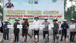 Kolaborasi Hebat Demi Ketahanan Pangan dan Nasib Petani