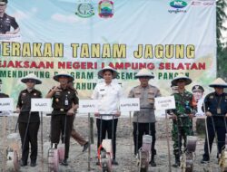 Kolaborasi Hebat Demi Ketahanan Pangan dan Nasib Petani