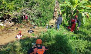 WhatsApp Image 2026-04-02 at 14.51.28