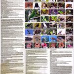 IMG-20260709-WA0038